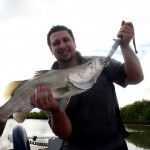 king ash bay barramundi