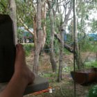 Wooyung Beach Holiday Park, near Pottsville NSW