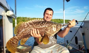 Queensland Groper