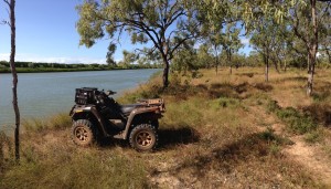 Batten Creek behind the billabong.