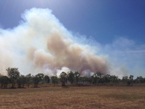 Big fire behind the golf course at King Ash Bay