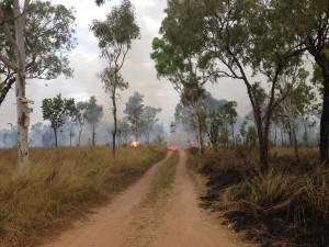 Controlled burnoff at the East End (aka "Long grass") of King Ash Bay.