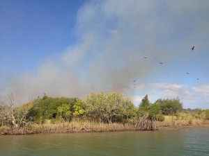 A fire on one of the islands down the Carrington Channel.