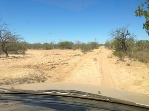 The road to the Batten Creek Rock Bar or "Croc Crossing"