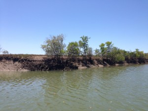 This was the snag that we pulled a heap of Barra out of.