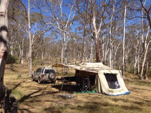 Uralla Fossicking Area