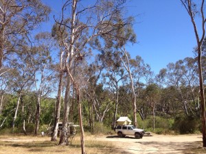 Uralla Fossicking Area