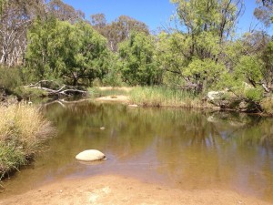 Uralla Fossicking Area