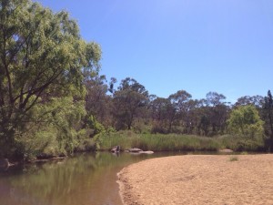 Uralla Fossicking Area
