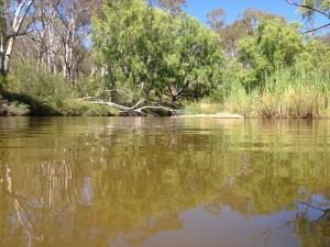 Uralla Fossicking Area