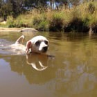 Uralla Fossicking Area, near Armidale NSW