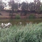 Mendooran Rest Area, Near Dunedoo NSW