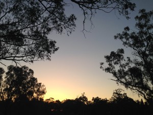 Mendooran Rest Area Sunset