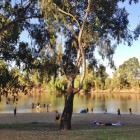 Wagga Wagga Beach Caravan Park