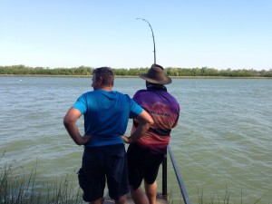 Fishing bank king ash bay