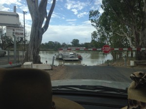 Murray River Barge Crossing at Swan Reach