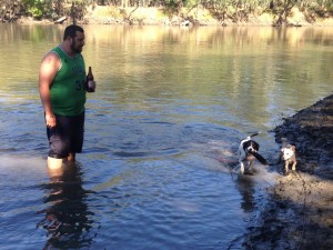 traveling and camping with dogs friendly