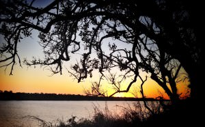 Perfect sunset camping photo