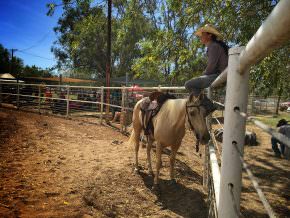 Borroloola Rodeo Cowgirl