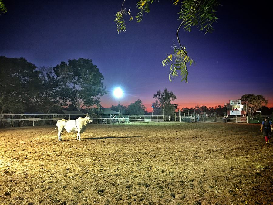 Borroloola Rodeo 2016 Bullriding